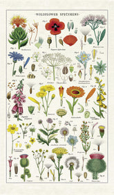 Cavallini Papers & Co. Wildflowers Tea Towel in multicolor, soft cotton for everyday kitchen use.