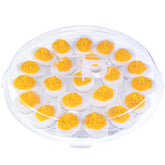 HANSGO deviled egg carrier with lid, top view showing secure snap closure.