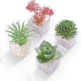 HEY FOLY succulent fridge magnet adds playful charm to your refrigerator.