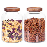 Leaves and Trees Y thickened glass jar for tea storage keeps aroma fresh