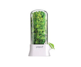 Prepara Herb Savor Eco base and greenhouse preserves herbs up to three weeks.