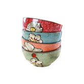 Rockgoldbug ceramic bowls set of four in blue, red, green and pink for daily meals