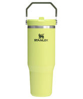 STANLEY IceFlow 2.0 tumbler flip straw lid for quick sipping on the go.