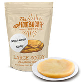 The Kombucha Company scoby large 5-inch front view enables easy home brewing