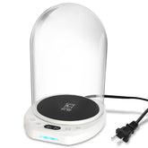 Yendse sourdough warmer with glass dome enabling precise fermentation control.
