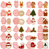YLOLUL Christmas cookie stamps set with 24 shapes for festive baking