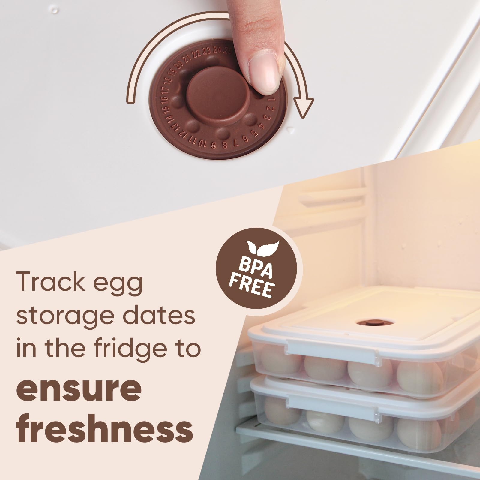 77l BPA-free food-grade material safe for food contact.