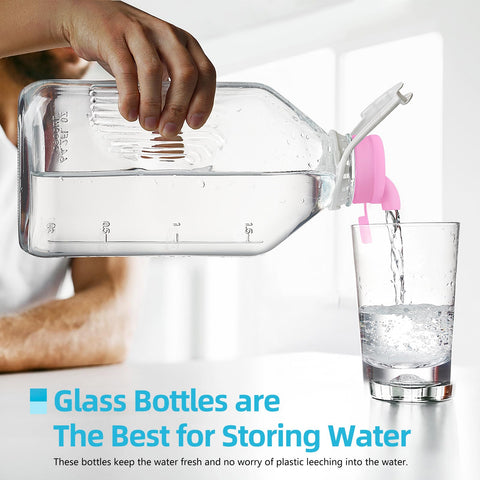 Absovetu BPA-free and lead-free glass jars for safer beverage storage