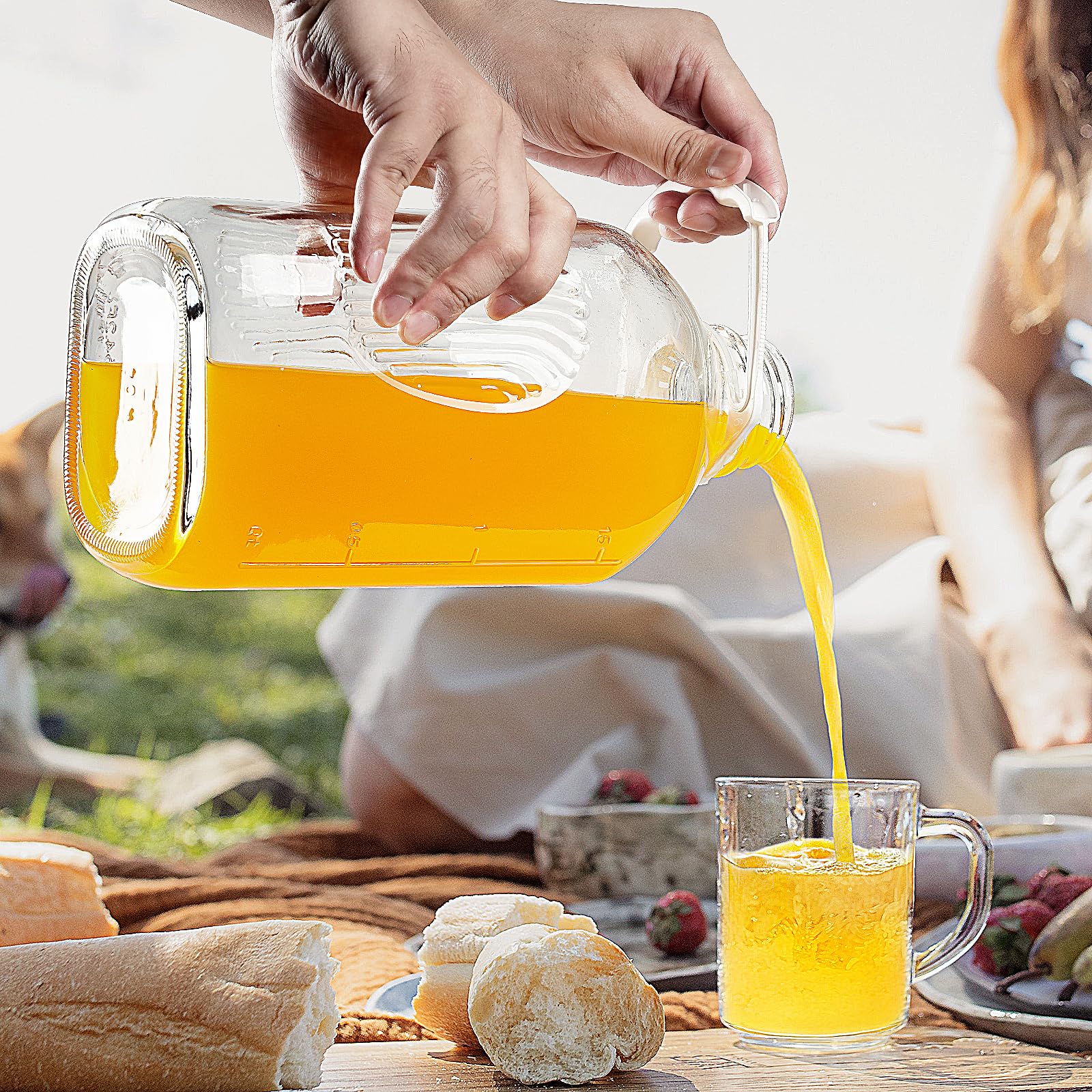 Absovetu 4-pack includes extra lids and handles for versatile use