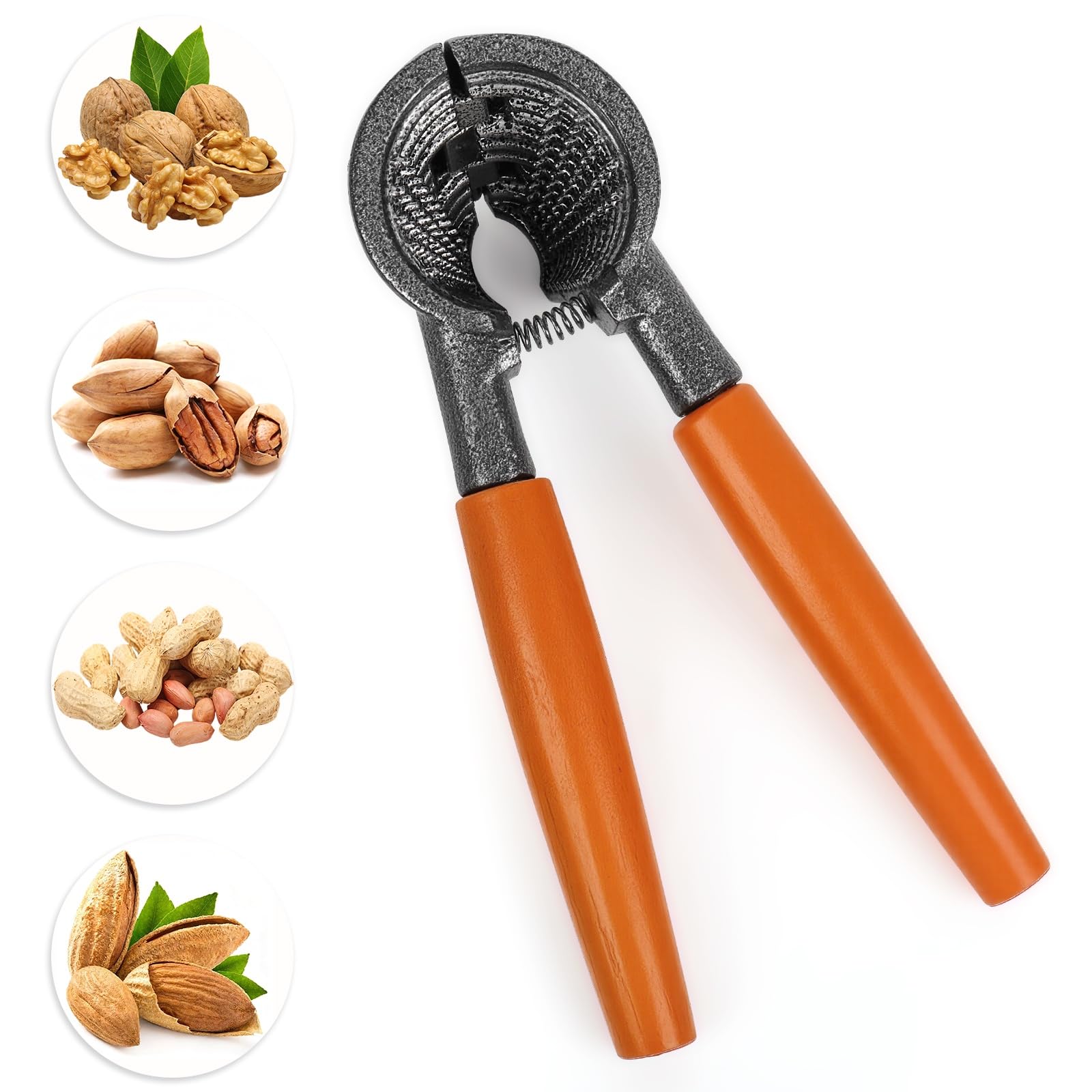 Abuntor Nut Cracker cracking Brazil nuts for quick prep