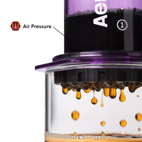 AeroPress Clear Purple travel compact fits in a bag for brewing anywhere.