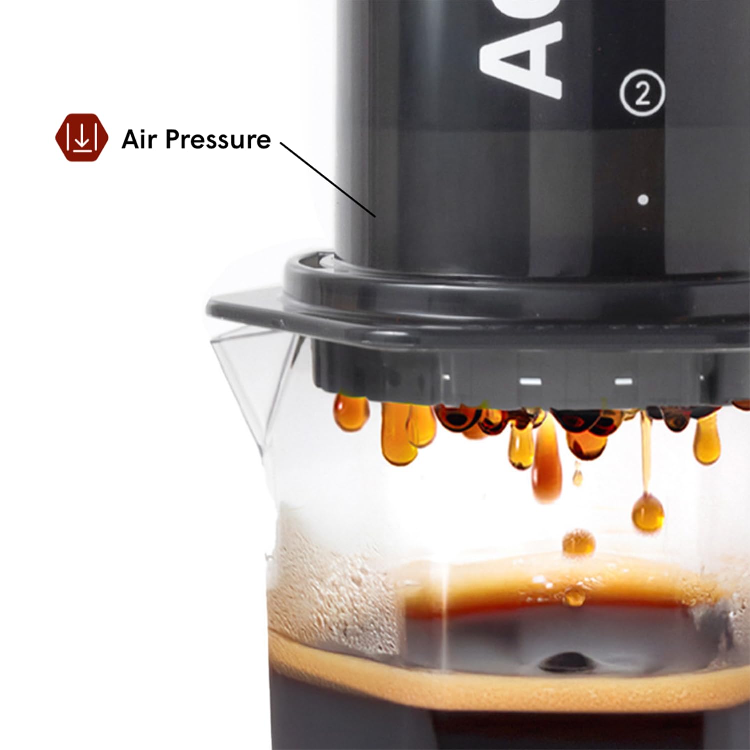 AeroPress Original XL press action demonstrates quick two-minute brew.