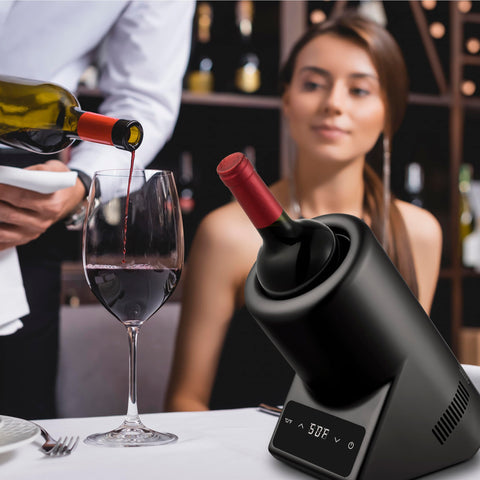 Aichiller champagne bottle fit indicates compatibility with common bottles.