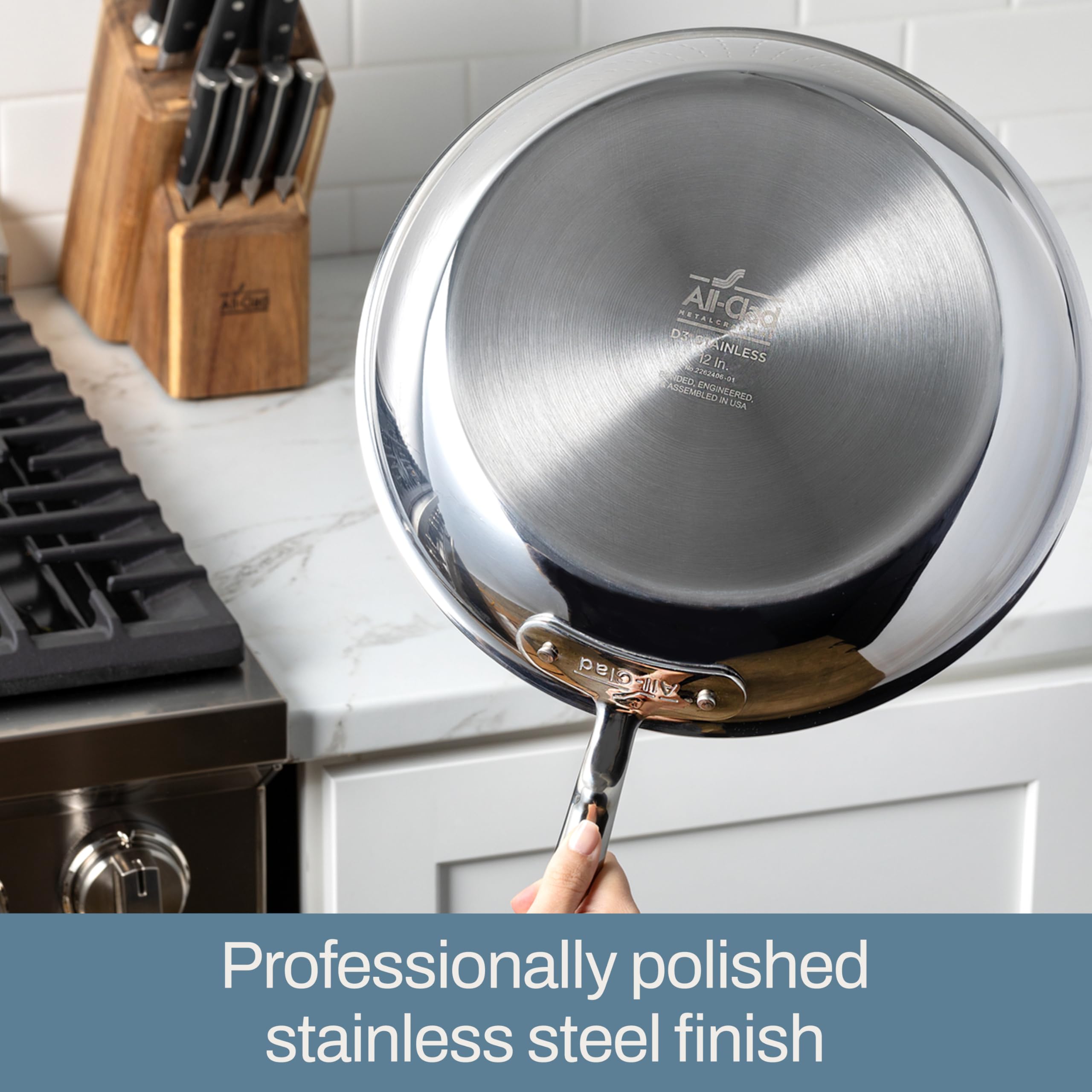 All-Clad D3 8-inch fry pan searing steak and fish with even heat