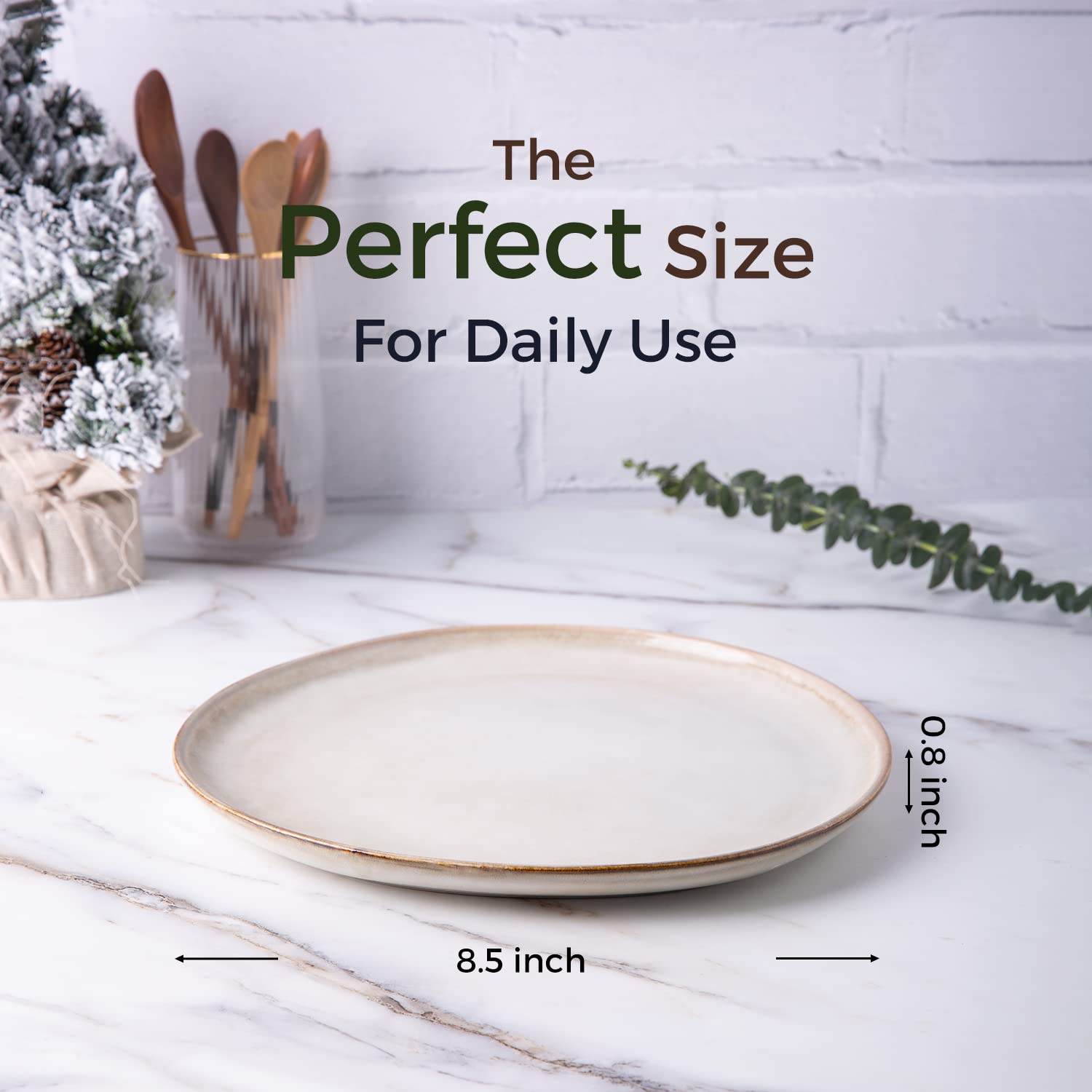 AmorArc salad plate 8.5 inches highlights vibrant glaze for greens and starters.