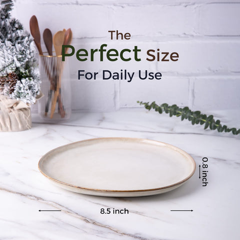 AmorArc salad plate 8.5 inches highlights vibrant glaze for greens and starters.