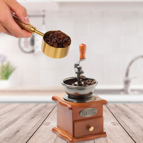 Andgeloo 1 teaspoon spoon with wood handle ideal for spices and condiments