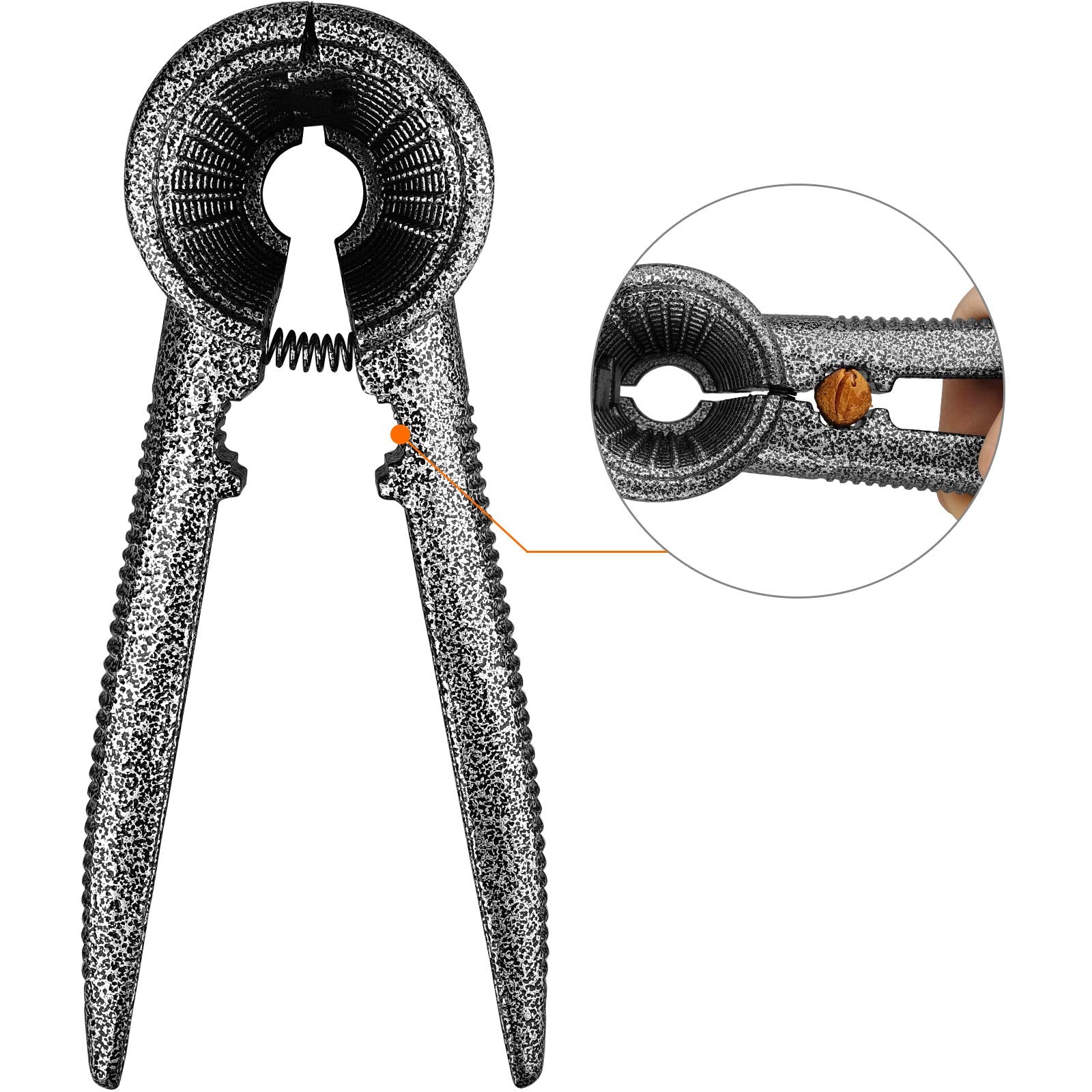 Anwenk Nutcracker demonstrating reliable walnut grip with reduced shell scatter.