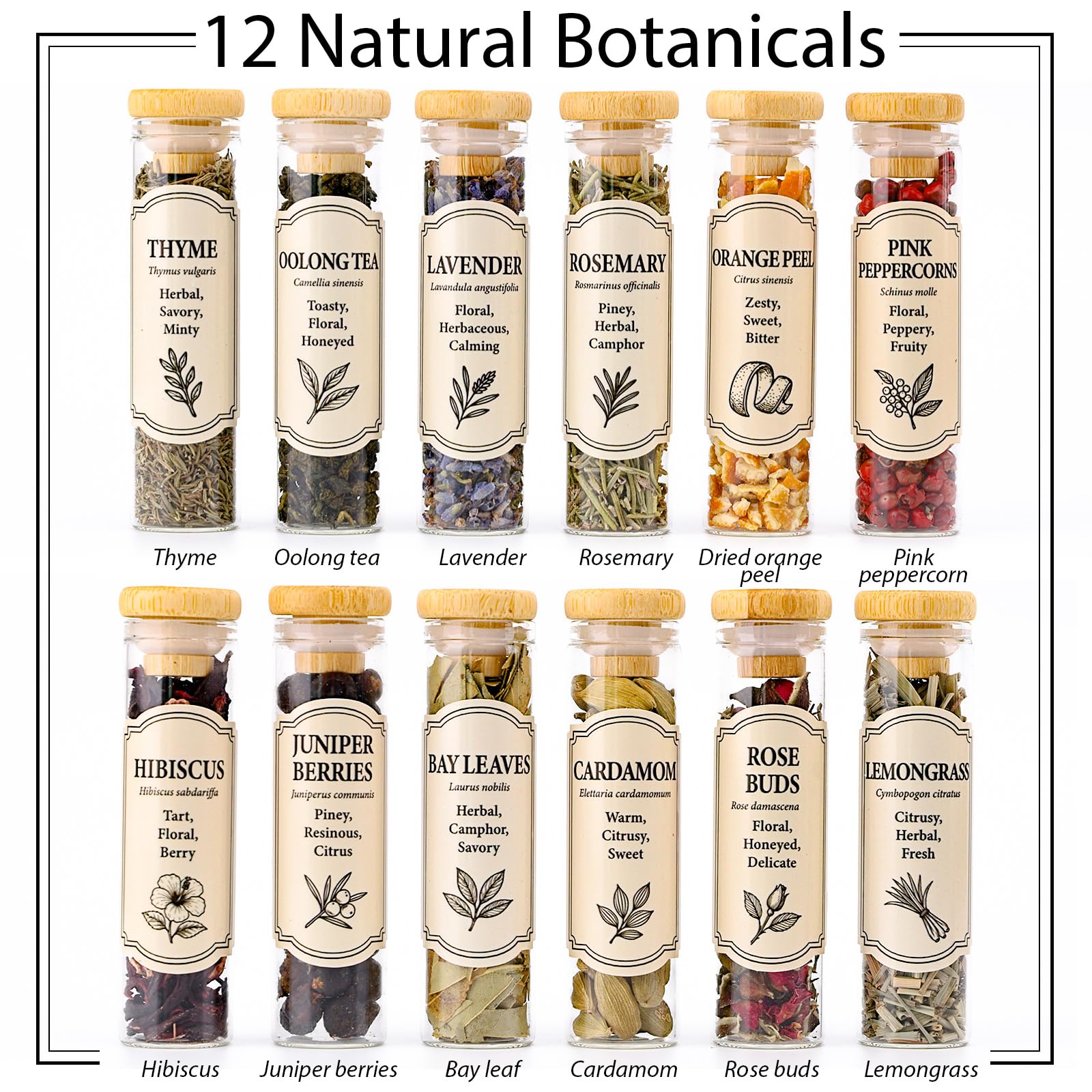 Apragaz premium botanicals sealed jars preserve aroma and natural color for longer experiments