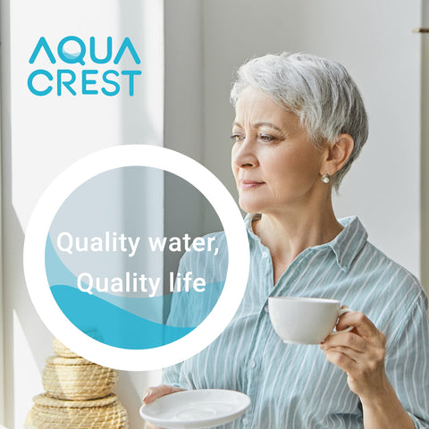AQUA CREST KRUPS Precise Tamp compatible filter maintains stable water quality