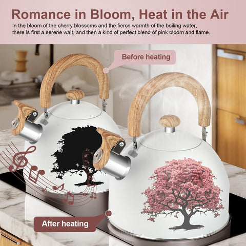ARC Advanced Royal Champion 2-quart kettle works on gas, electric, and induction