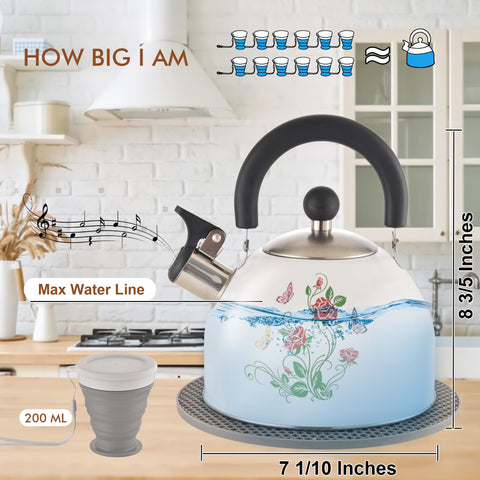 ARC stovetop tea kettle with 2-quart capacity ready for family tea moments.