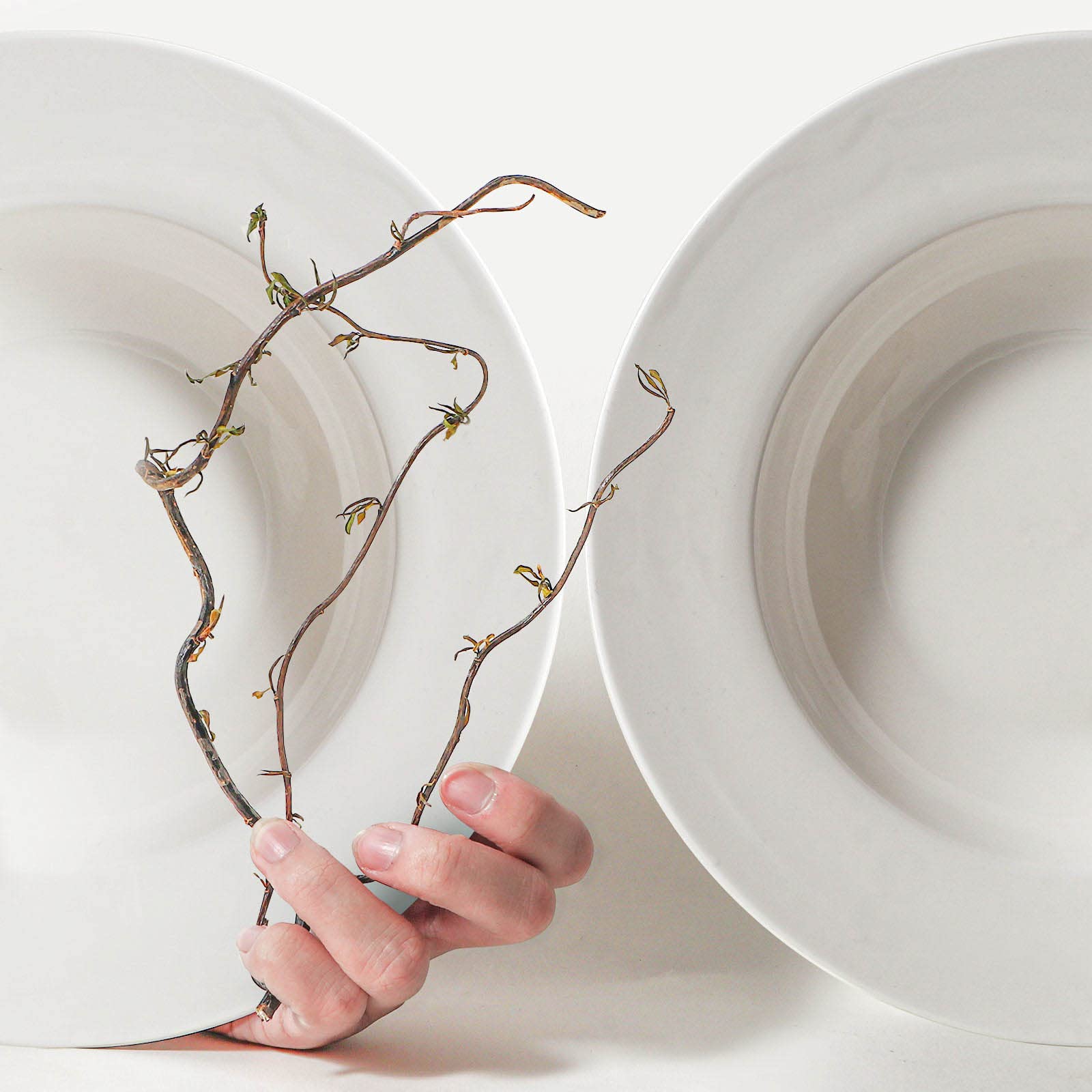 Artena gift-pack bowls make a stylish housewarming present.