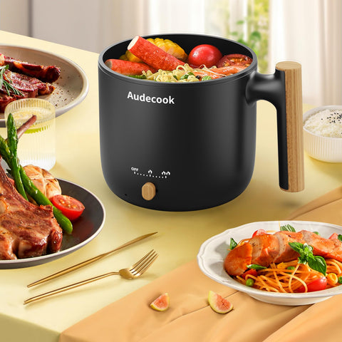 Audecook hot pot temperature control with dual power modes.