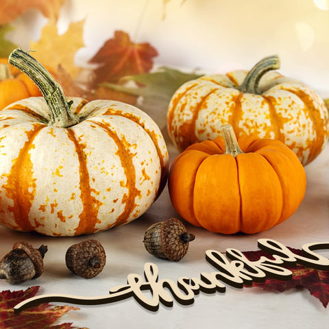 Aukolass fall-themed party setup—adds warm atmosphere to dinners