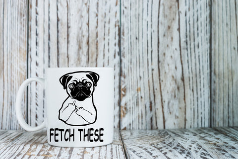 AW Fashions Fetch This Cute Dog Middle Finger mug gift-ready packaging for occasions