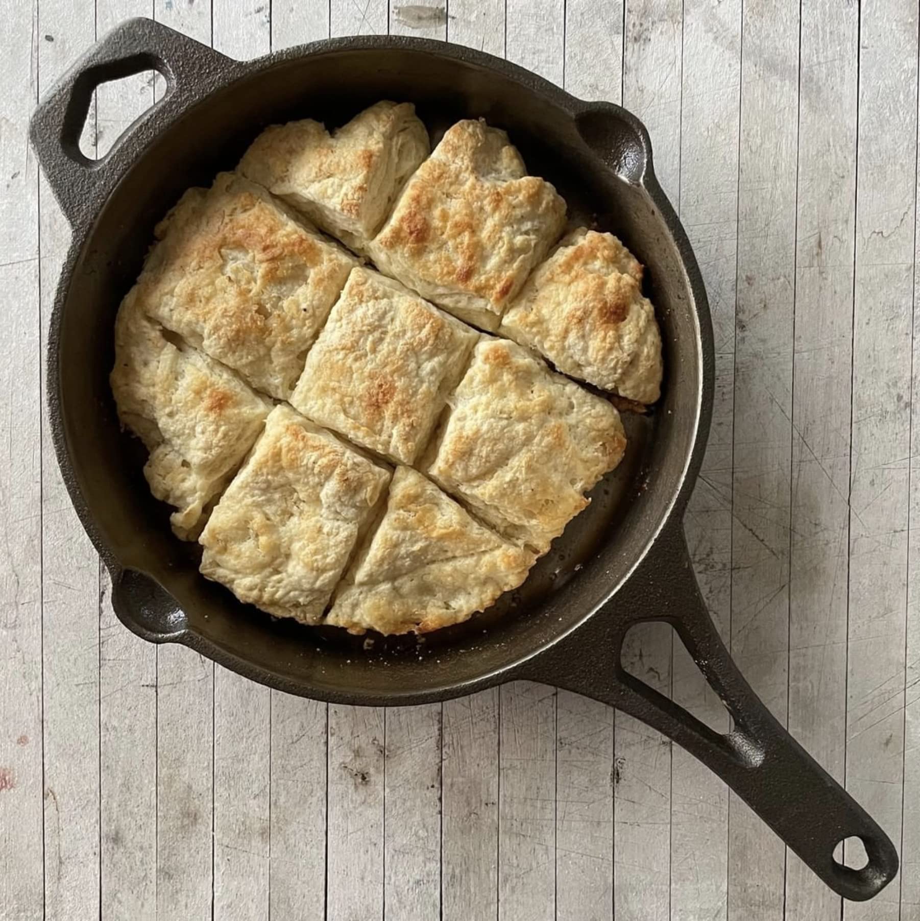 Backcountry Iron compact skillet delivers even heat for consistent searing.