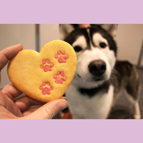 Bakerlogy Heart Paw Prints 3D-printed cutter built for durability.