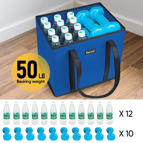 BALEINE large tote fits grocery cart or trunk.