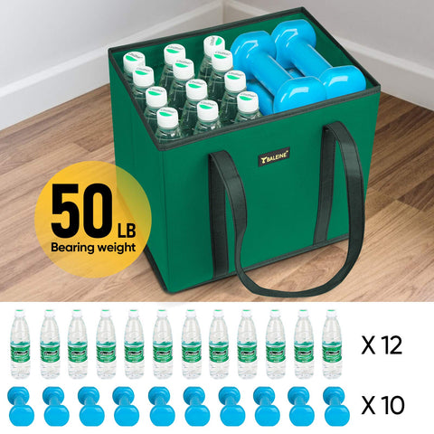 BALEINE water-resistant grocery bag keeps contents protected outdoors