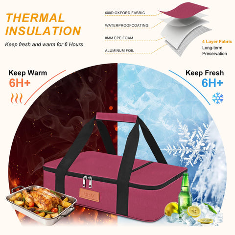 BBV Insulated Carrier interior foil showing thermal lining for temperature control.