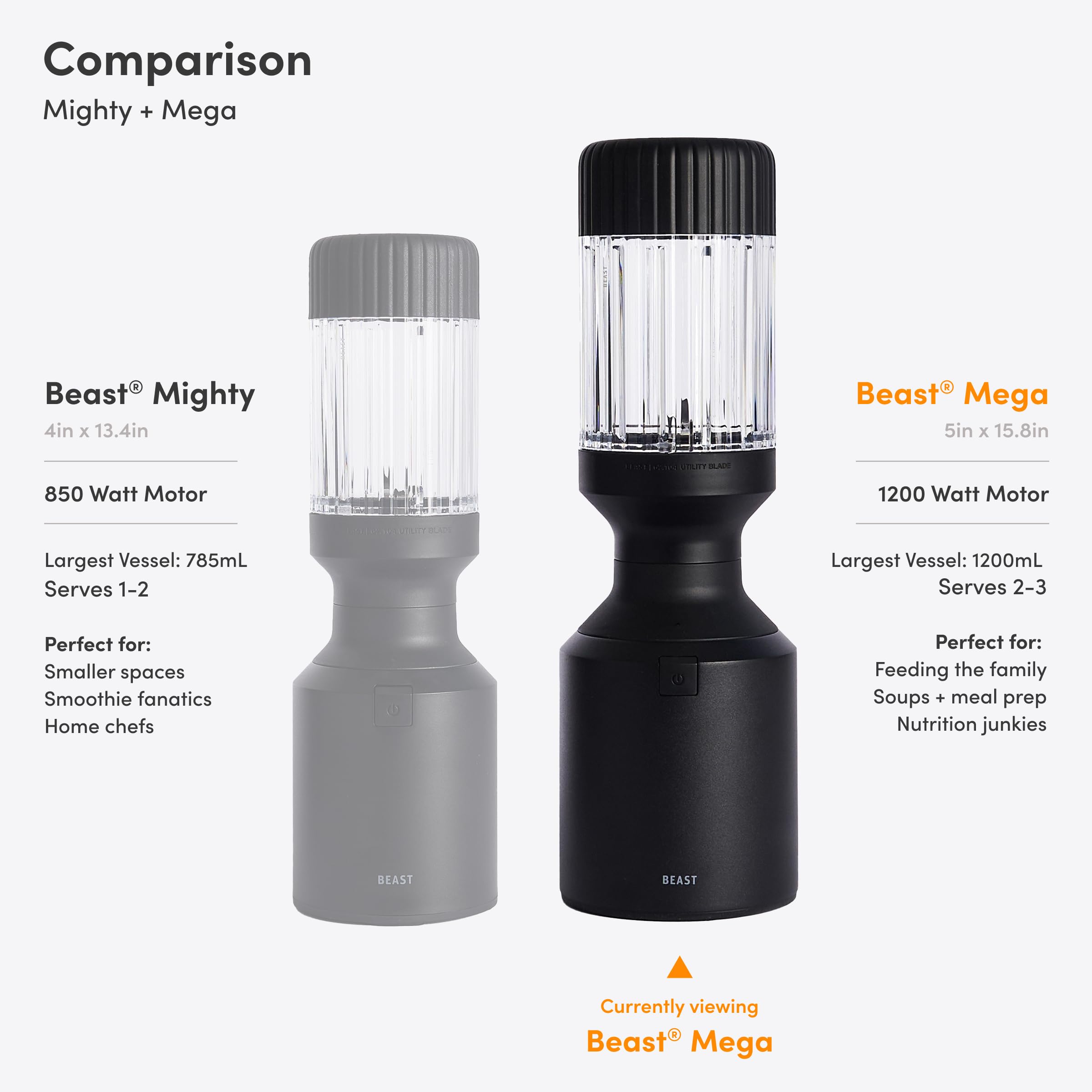 Beast Mega 1200 Plus designed for 120V home use