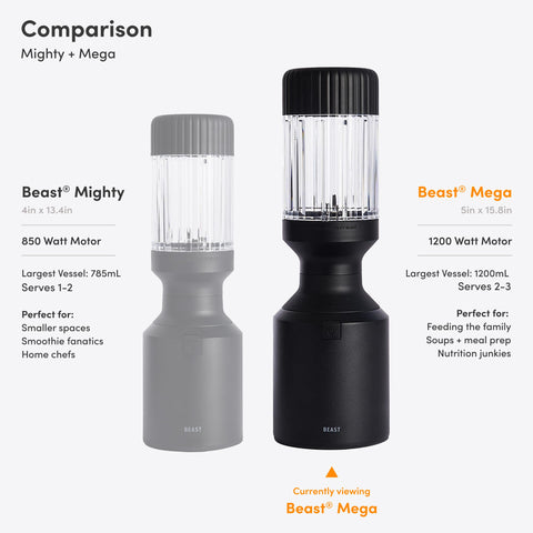 Beast Mega 1200 Plus designed for 120V home use