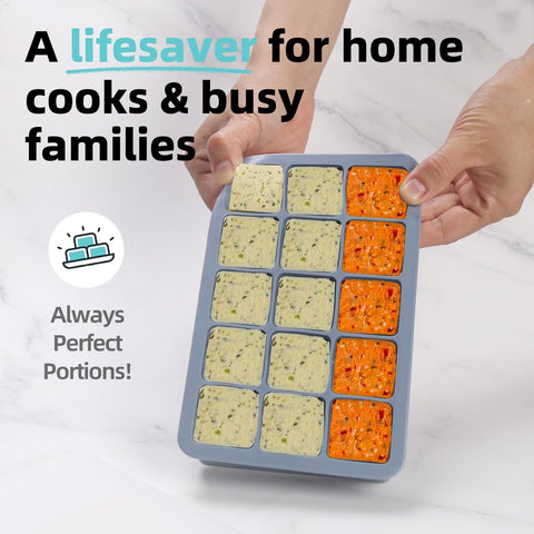 BECOKIT lemon juice portions frozen in a handy tray.