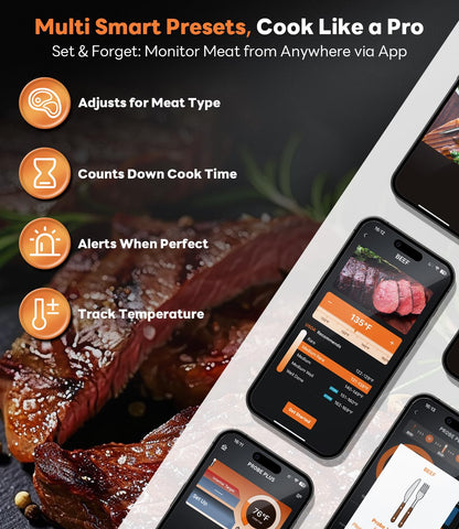 Beelicious Pro dual sensors deliver accurate ambient and internal temperatures