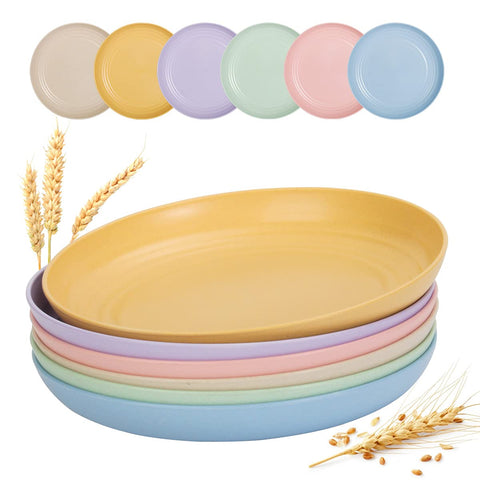 BEIUTAO 9-inch plate perfect for parties and camping meals.