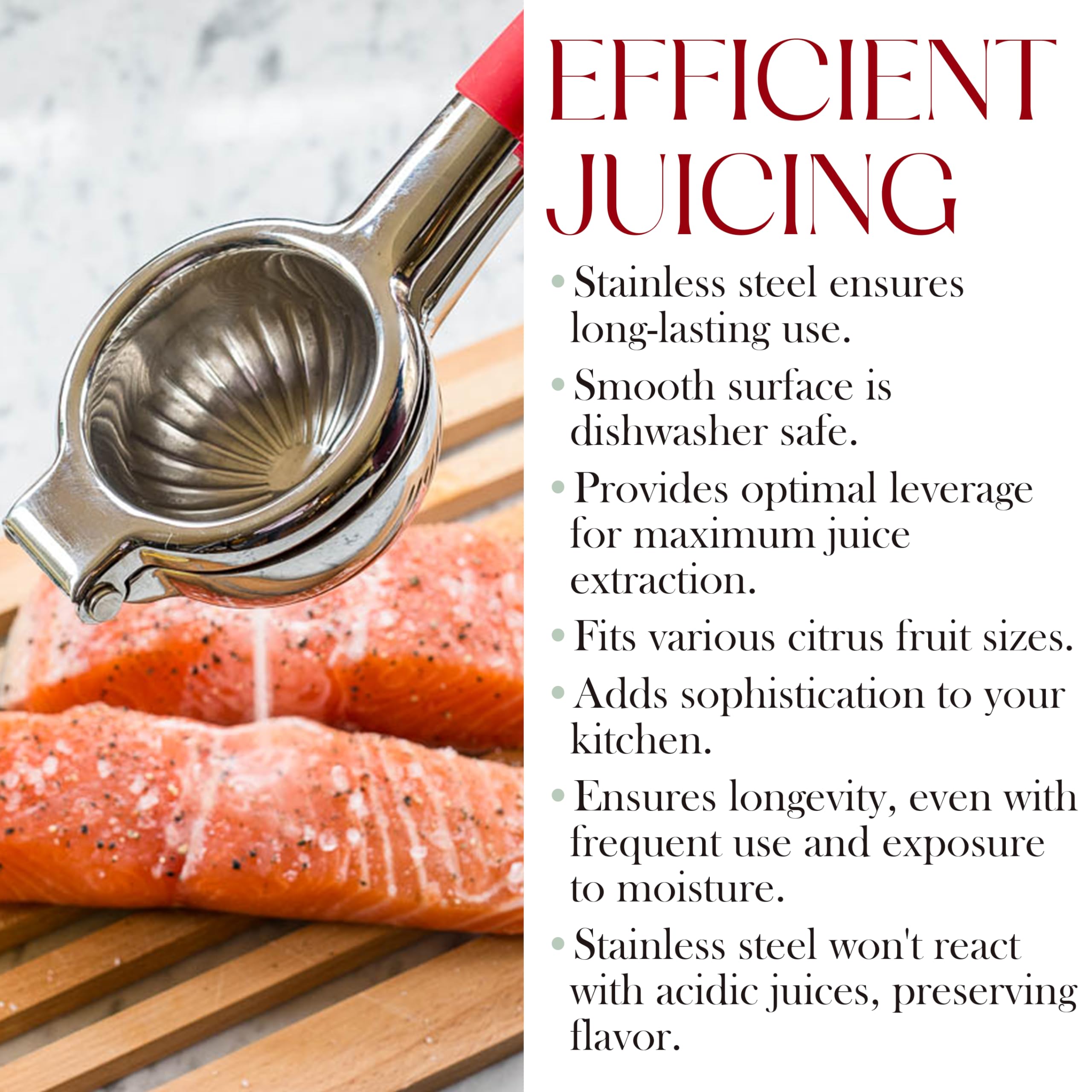 Bellemain stainless-steel-juicer showing robust construction for everyday use