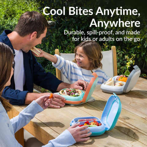 Bentgo Chill Mini divider option creates two portions for snacks and sandwiches