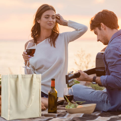 Berlune wine carrier for groceries and bottle transport