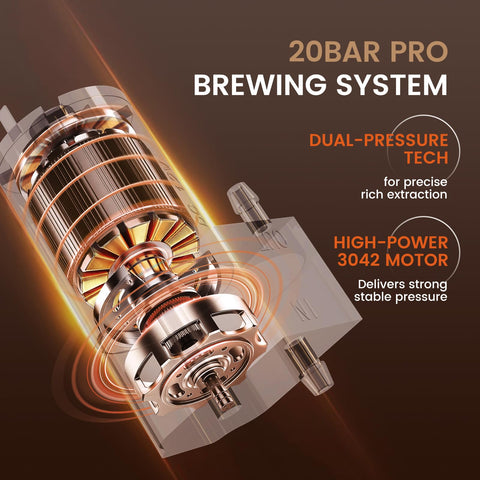 NS DG 3 in 1 compatibility lets you choose capsules or ground coffee