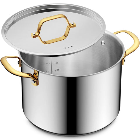 BEZIA 8 Qt stock pot with lid ready for soups and pasta meals