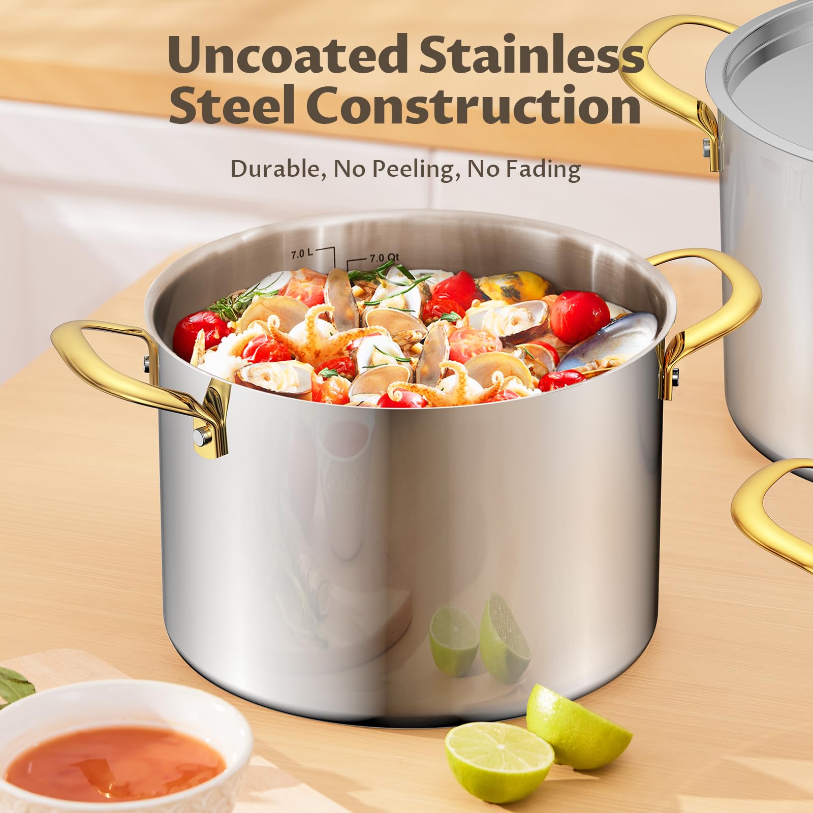 BEZIA induction ready stock pot on compatible cooktop