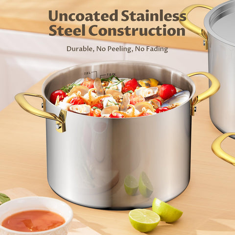 BEZIA induction ready stock pot on compatible cooktop