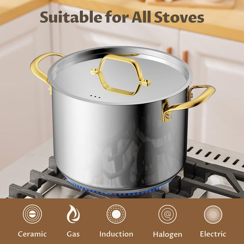 BEZIA interior measurements inside the pot for precise cooking