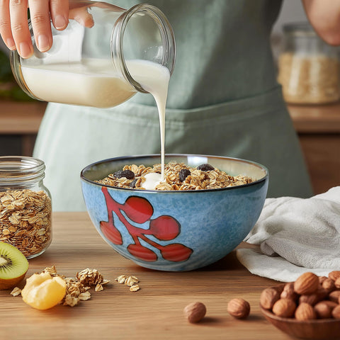 BGCTM Ceramic Bowls Set of 6 for cereals and snacks