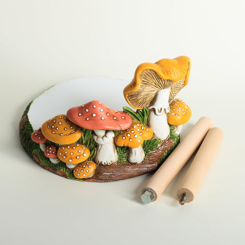 Bicuzat compact display measures 7x7x12.5 inches for easy setup.